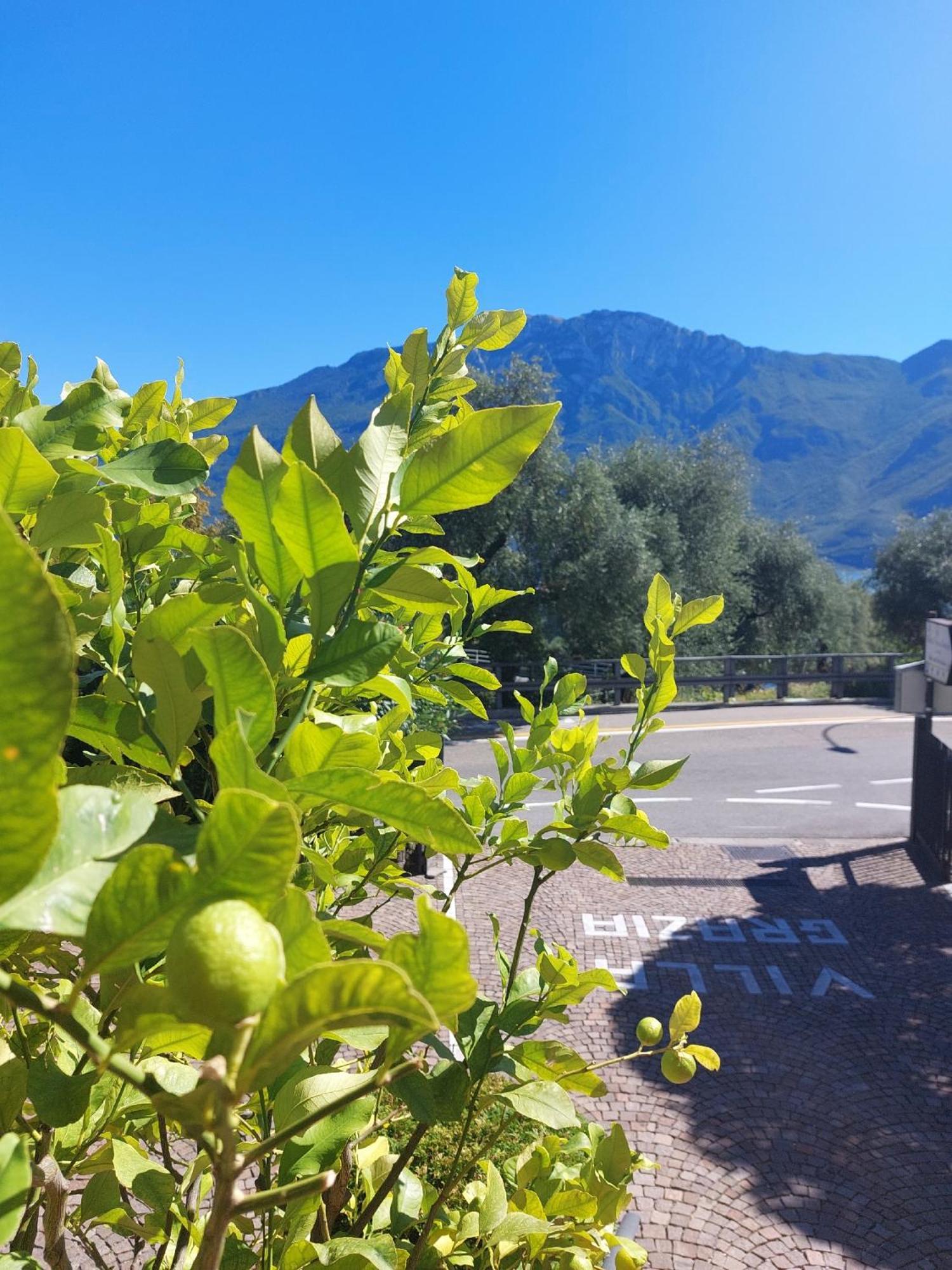 Hotel Villa Grazia ليمونِ سول غاردا المظهر الخارجي الصورة